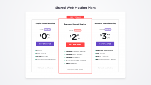 shared hosting plan you can pay with Bitcoin